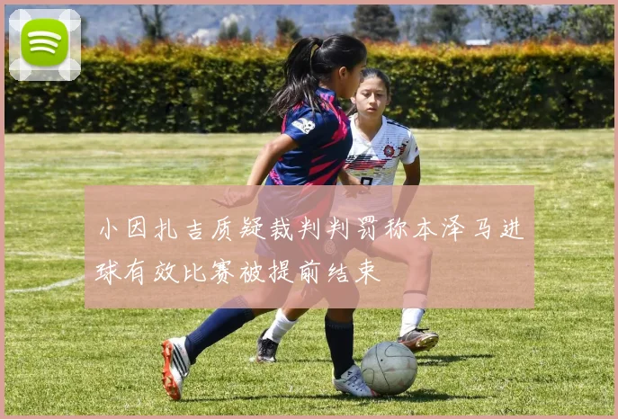 小因扎吉质疑裁判判罚称本泽马进球有效比赛被提前结束
